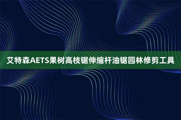 艾特森AETS果树高枝锯伸缩杆油锯园林修剪工具